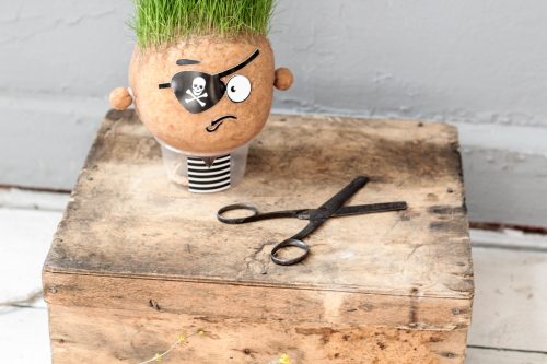 grasshead-hugo